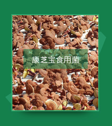金寨康芝宝食用菌专业合作社[公司介绍]