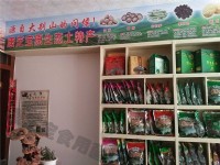 山珍土特产