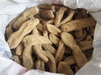 无硫天麻