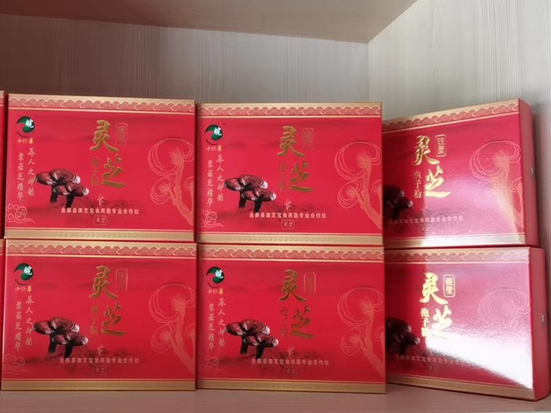 灵芝破壁孢子粉