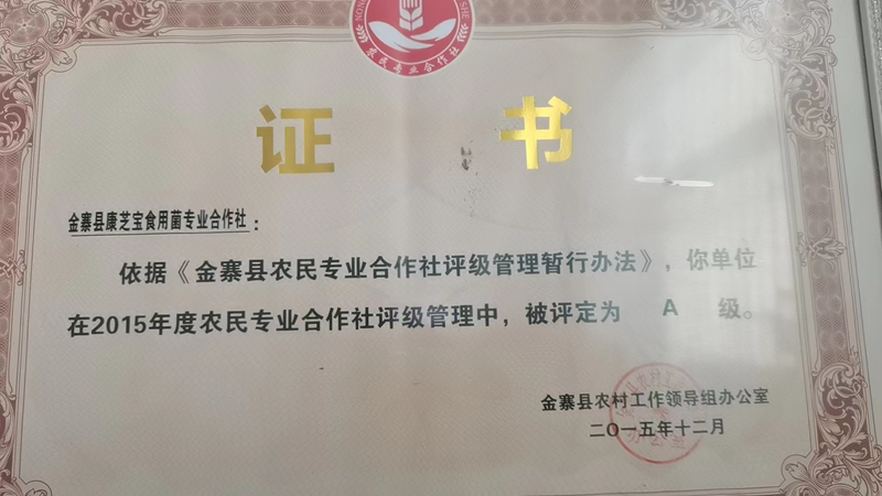 A级证书